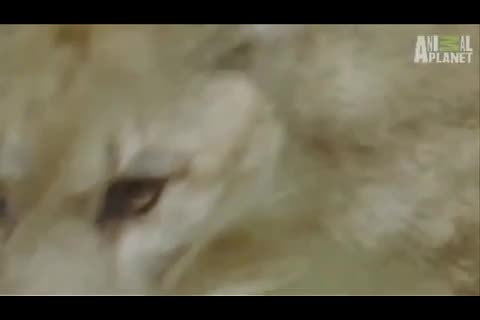 DDM课程 - 第061课