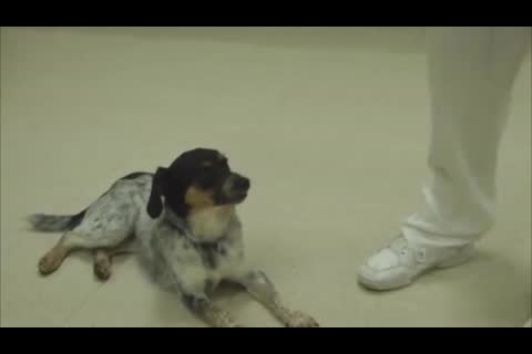 DDM课程 - 第037课